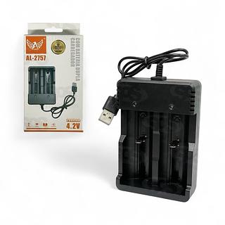 Carregador de Bateria Dupla USB