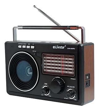 Radio Portatil Analogico Frequencia FM/AM/SW1-9