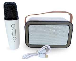 Caixa De Som Karaoke - Bluethooth 5.0 Potencia de Saida 10w